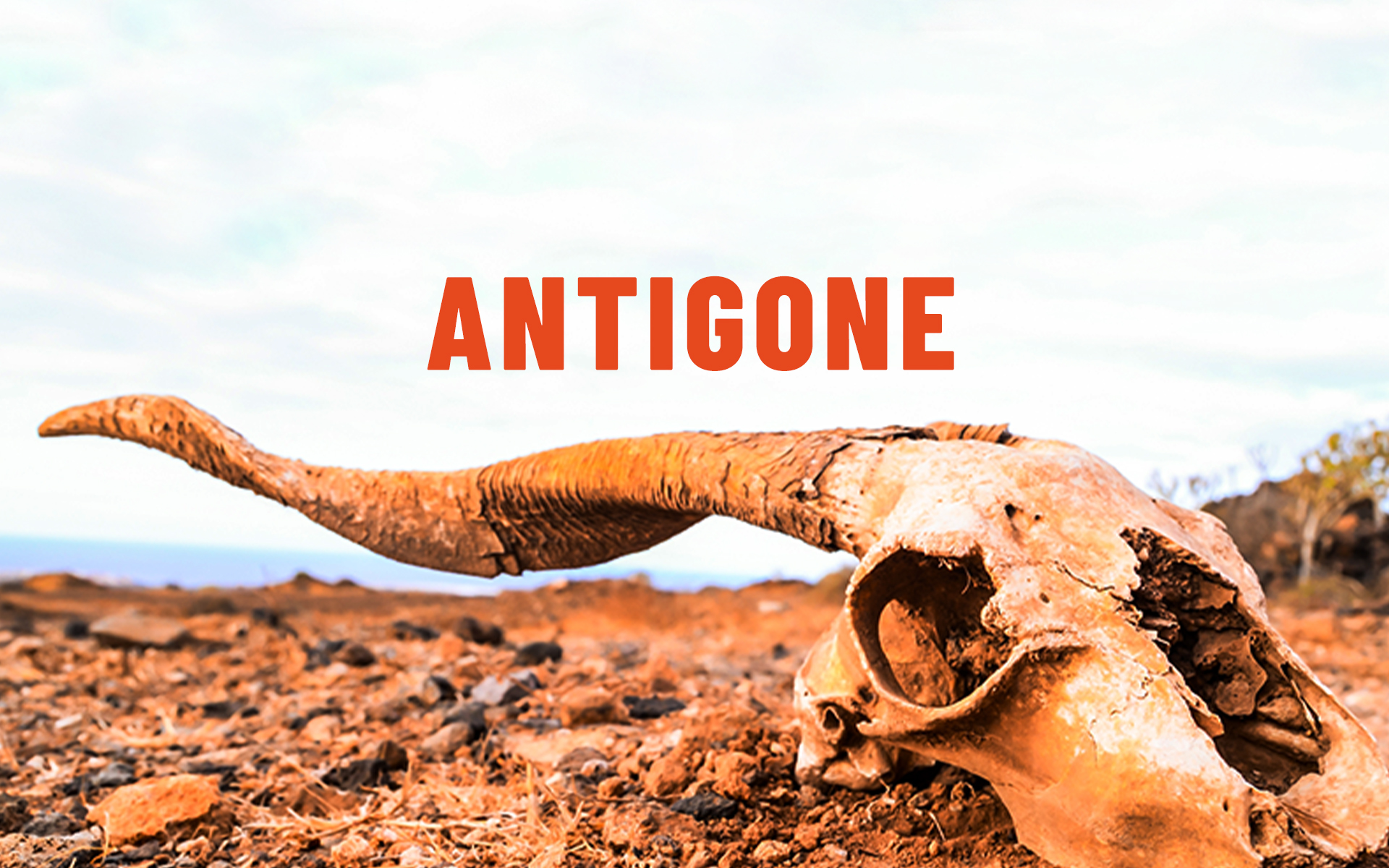 Antigone