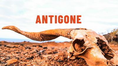 Antigone