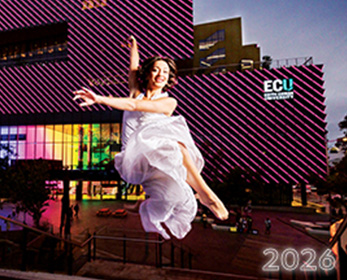 2026 Performance Program